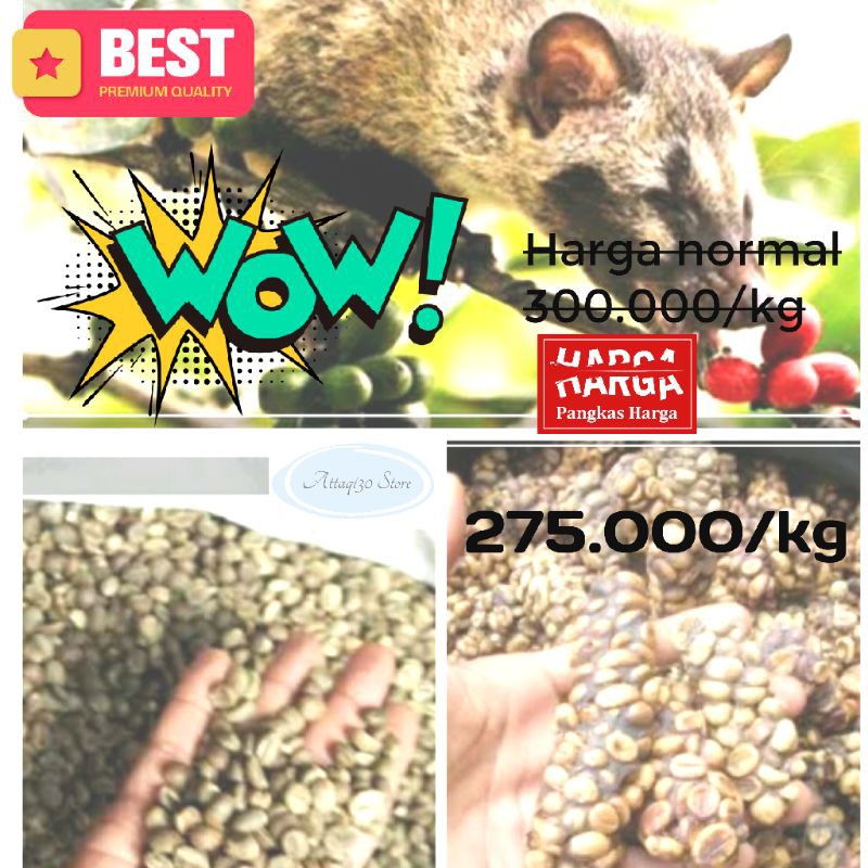 

Biji Kopi Arabika Luwak Liar Murni