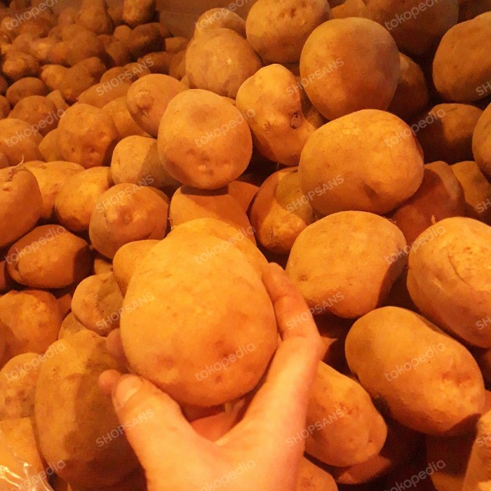 

Kentang Segar 1Kg Fresh potato