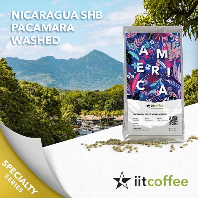 

Arabica Green Beans - Nicaragua SHB Pacamara Washed - 1Kg