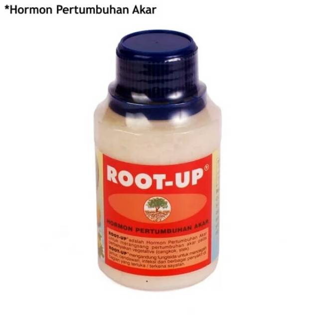 Root Up Hormon pertumbuhan akar