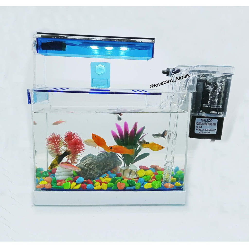 READY Aquarium Mini, Aquarium Akrilik, Aquarium Lengkap, Aquarium Ikan hias, Mini Aquarium, Aquarium