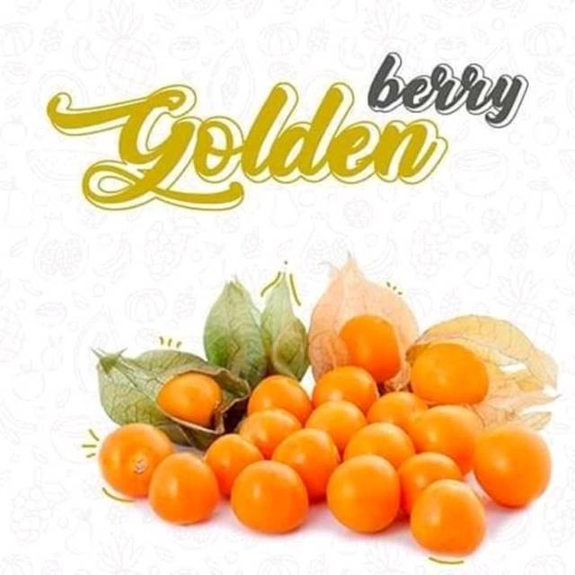 

jual buah ciplukan segar 500 gram
