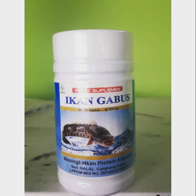 Suplemen ikan gabus