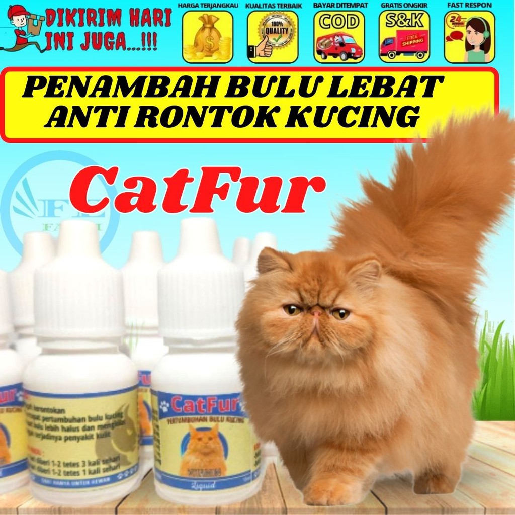 Penambah Bulu Lebat Kucing Anti Rontok  CATFUR FEFARM