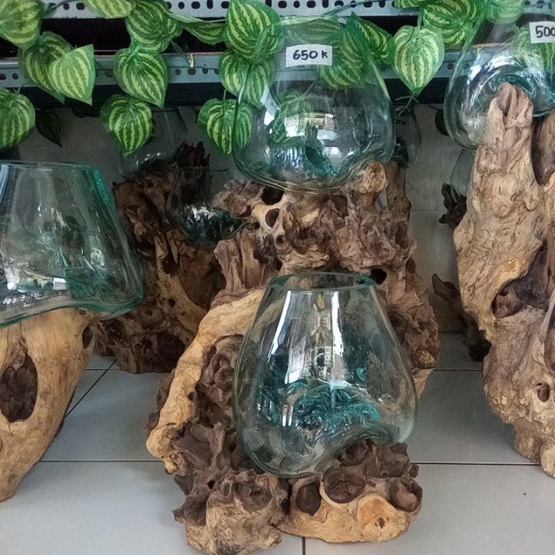 Aquarium Akar Gamal