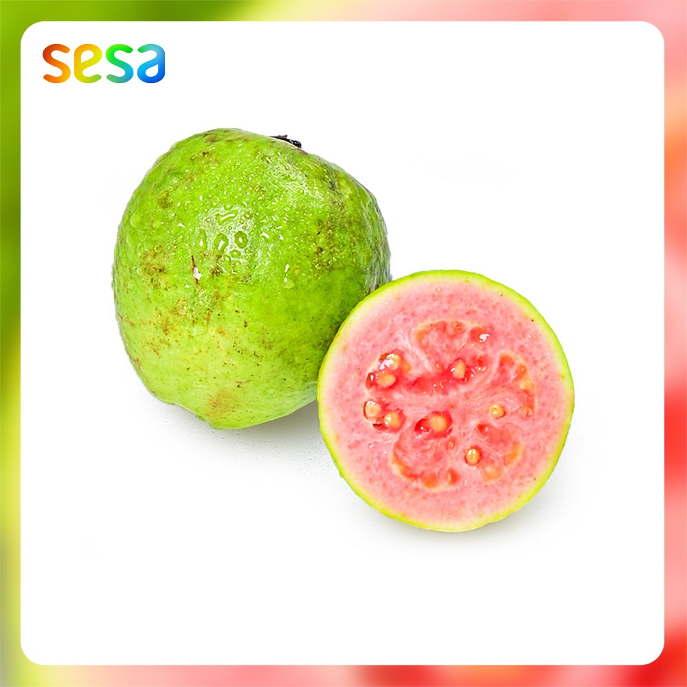 

JAMBU Biji Merah 1kg - Buah Fresh