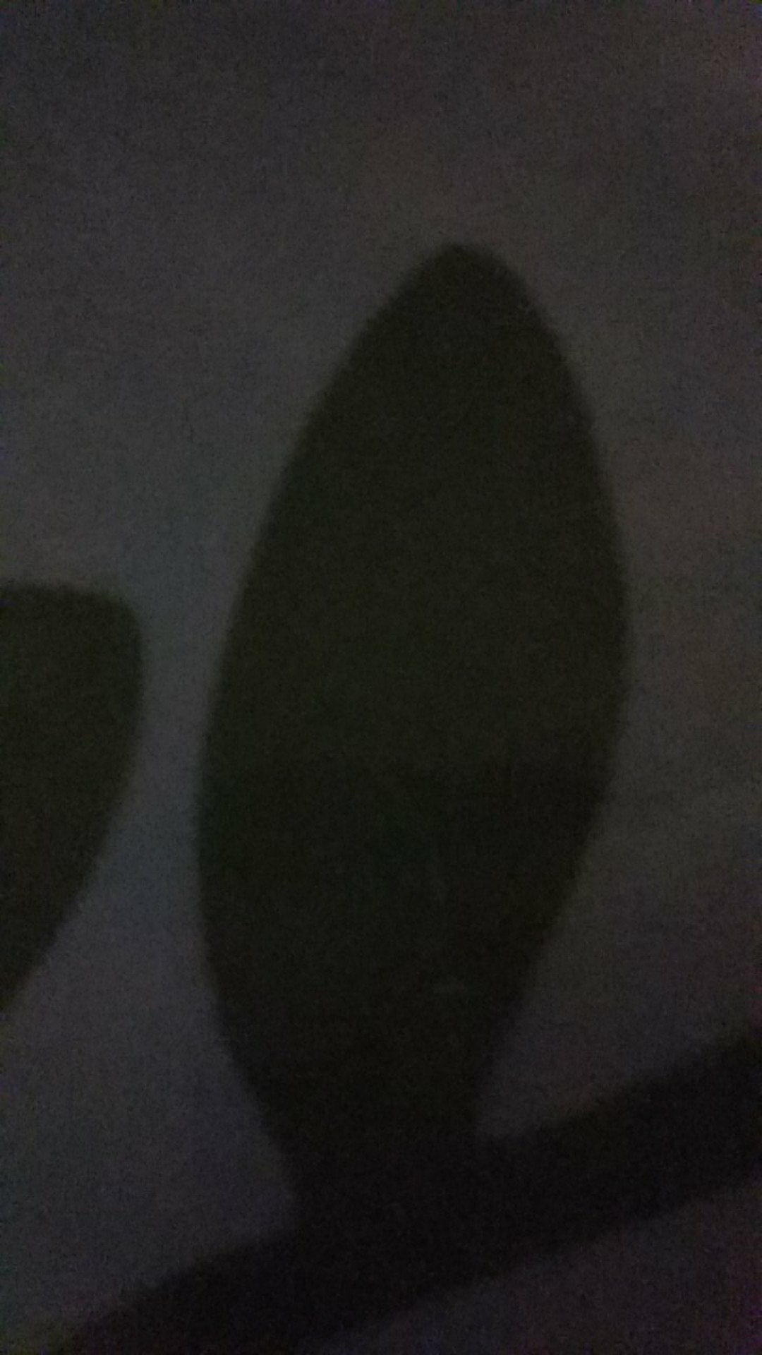 Arjuna Weda Kemeja Batik Pria Cendrawasih