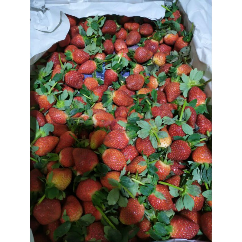 

Fresh Strawberry