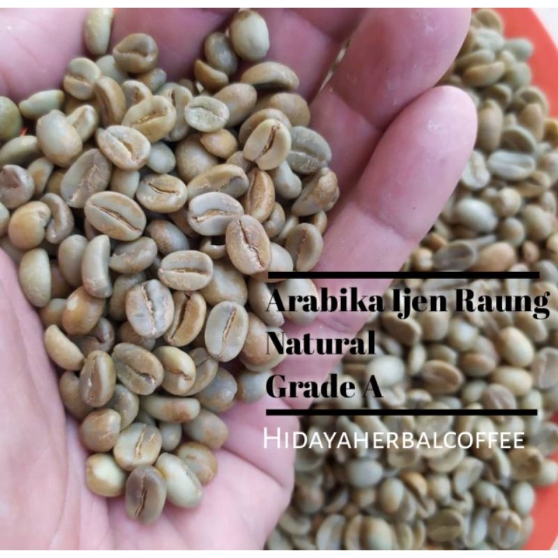 

Arabika Ijen Raung Proses Natural Grade B 1kg