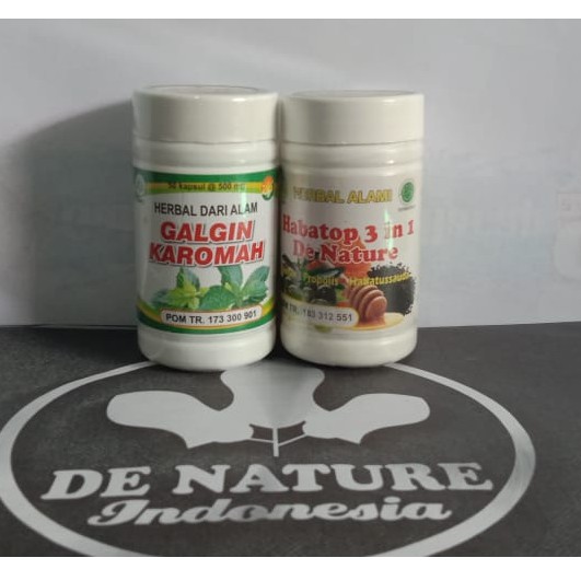 obat kencing batu obat batu ginjal obat penghancur batu empedu obat peluruh batu ginjal herbal alami
