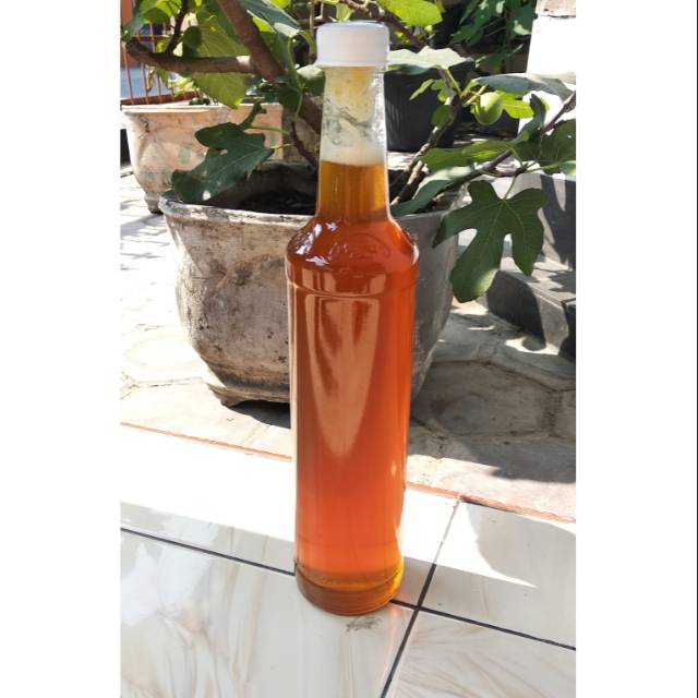 

Madu Tawon Liar 550ml