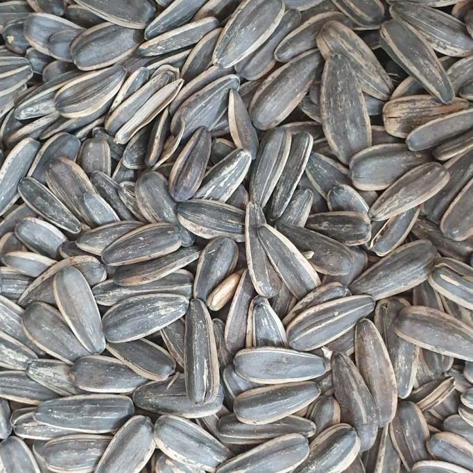 

KWACI MATAHARI IMPORT BERAT 1000gr