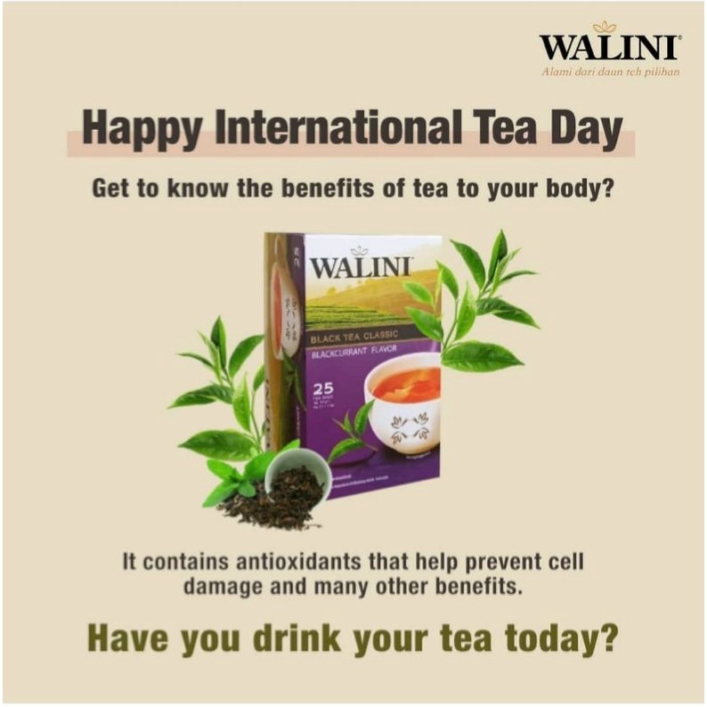 TEH WALINI dan Nusakita Blackcurrant Isi 25 AMPLOP PELUNTUR LEMAK Boster Asi ASAM URAT TEH Pelangsin