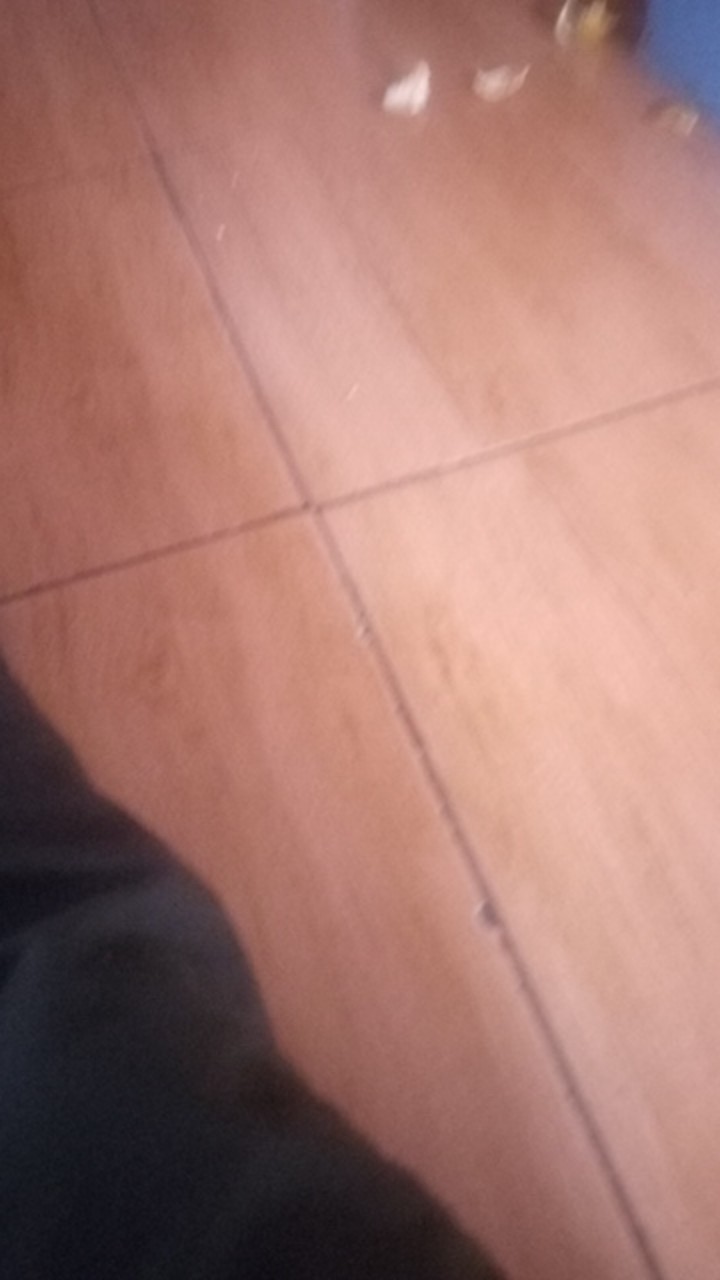 Isi 20 Buah Penjepit Pakaian