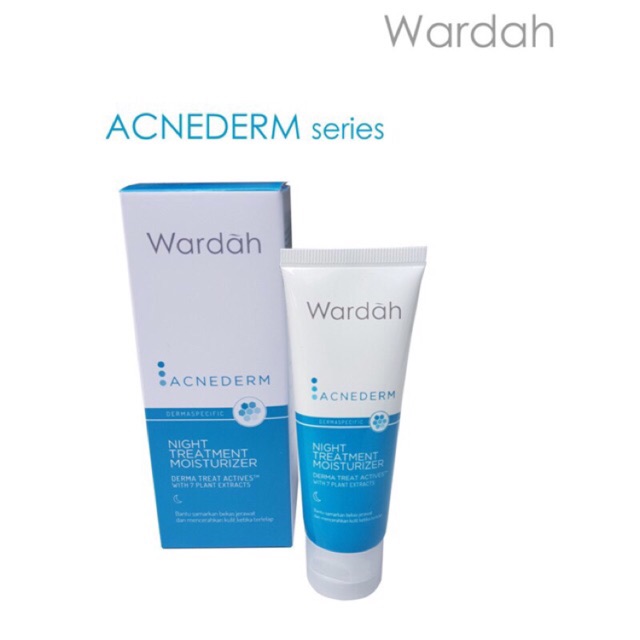 Wardah Acnederm Acne Night Treatment Moisturizer 40ml