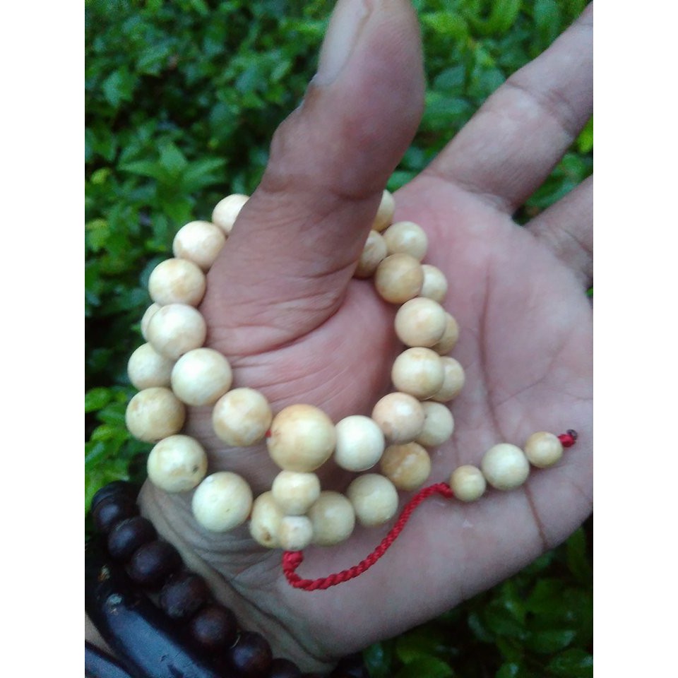Tasbih muslim 33 akar bahar putih