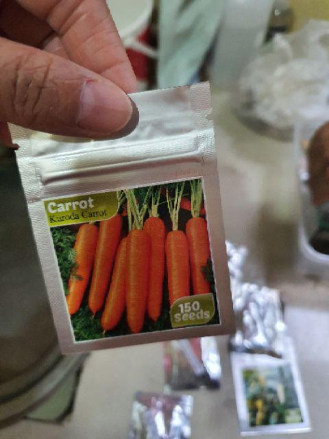 Isi 150 Benih Biji Sayur Wortel - Carrot Import