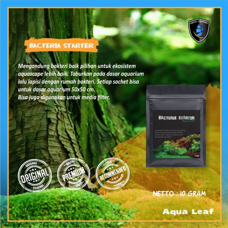 Bakteri Starter Aquascape Aquaticplant Oxygenic Bacteria Starter Bacteri Starter