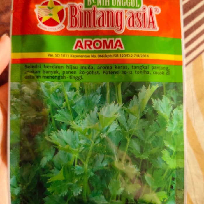 Benih Seledri Aroma 20 Gram