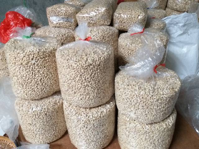 1KG Kacang Mede Mete MENTAH SUPER asli wonogiri termurah