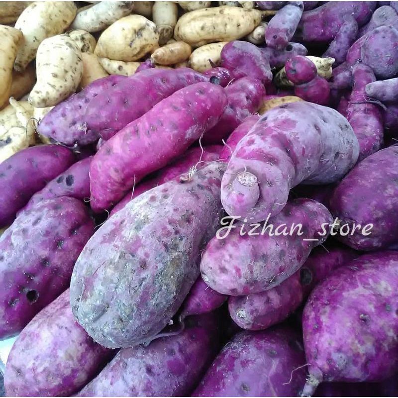 

Ketela Madu/kuning,Ketela ungu,Ketela cilembu Ubi Manis 1kg