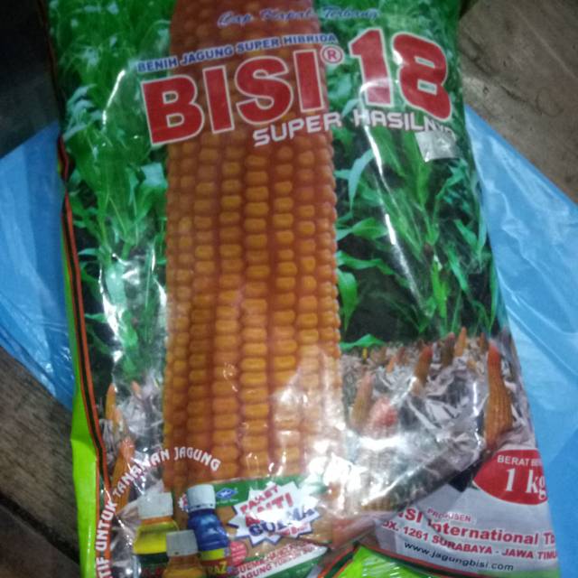 Bibit Jagung Bisi 18