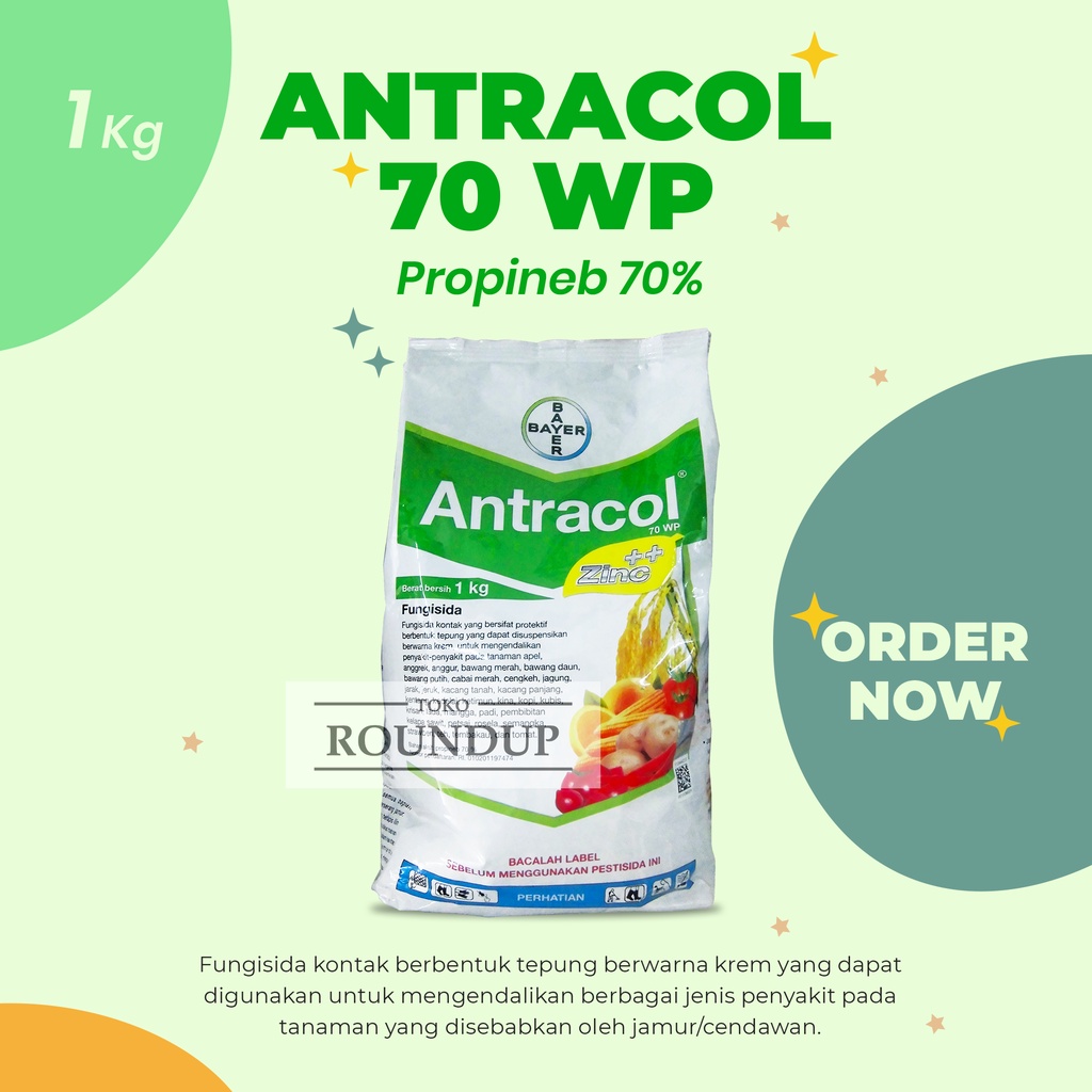 Antracol 70 WP 1 Kg