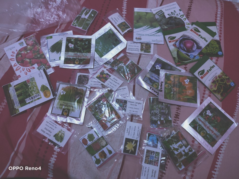 Benih Biji Zinnia Binnary Bright Mix Fullcolour Warna Warni 10 Seed