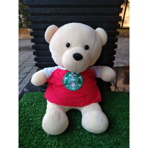 Teddy Bear Starbucks