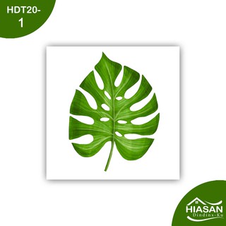  Hiasan  Dinding  Dekorasi Rumah Poster Tropical Daun  