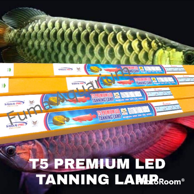 Lampu Tanning View Arwana SAKKAI PRO T5 Double Led 1000 Premium 20Watt 5X Mode Ganti Warna