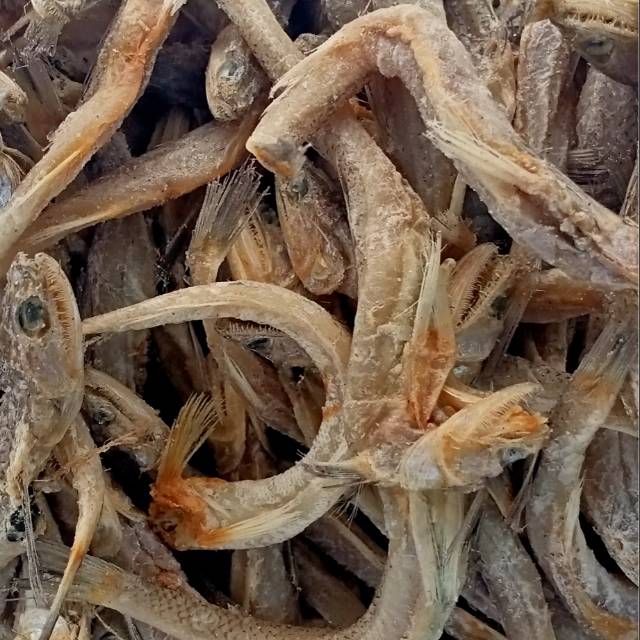 

Ikan asin jlantirr