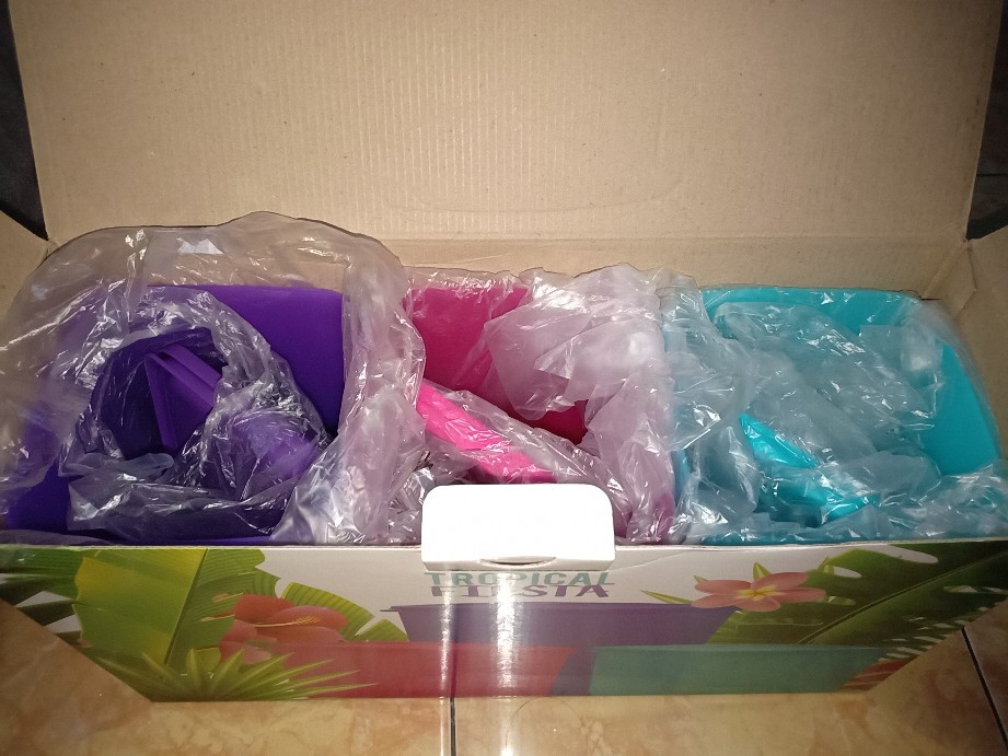 Promo Tropical Fiesta (6)