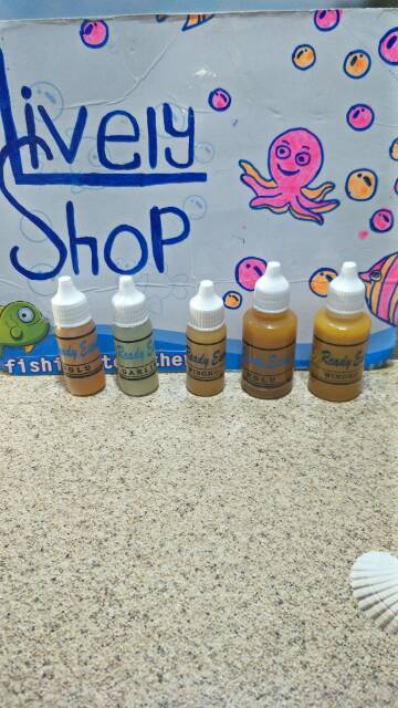 Essen Ready botol besar Wingko &amp; Bolu