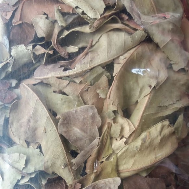 Daun salam kering ( 1 kg )