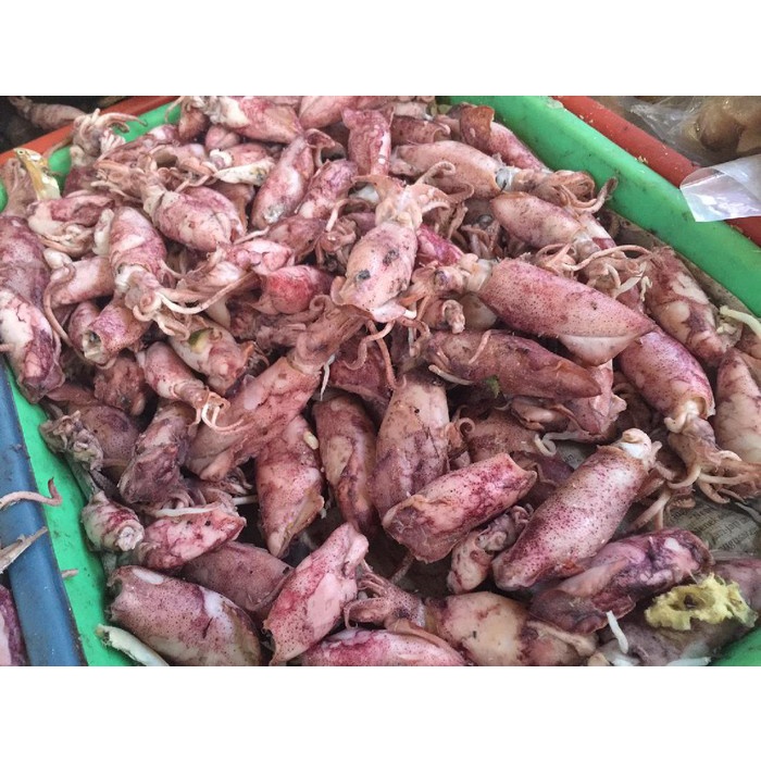 

cumi rebus asin kering 250g gram