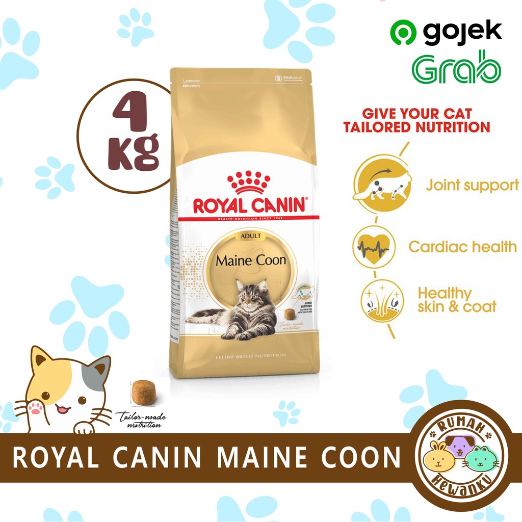 Royal Canin Adult Maine Coon 4 kg