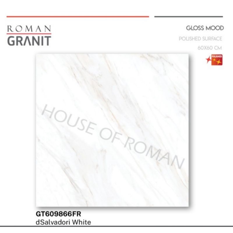 Roman Granit 60x60 dSalvadori White (Gloss Mood) / Lantai Kilap Motif Marble / Granit Lantai Motif M