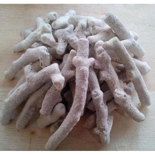 KARANG JAHE MEDIA FILTER AQUASCAPE AQUARIUM 10 KG / BATU KARANG JAHE 10 KG