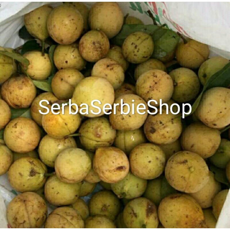

Buah Pala Segar Asemnya Bikin Ngiler