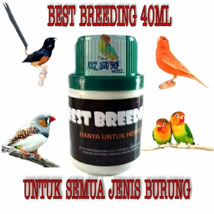 Riofe | Best Breeding