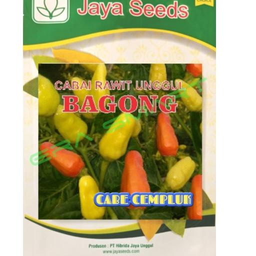 Terlaris.. Benih Cabai Rawit BAGONG 10g