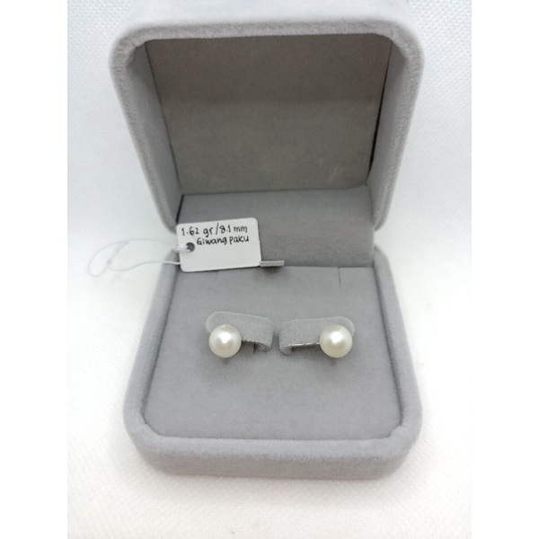 Giwang perak mutiara laut / anting silver 925 mutiara laut asli / mutiara lombok / mutiara simpel
