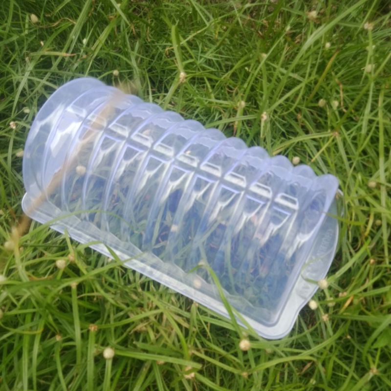 cetakan puding semangka cetakan jeli semangka cetakan plastik kue unik