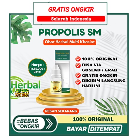 Propolis SM Obat Gatal Yang Aman Untuk Orang Yang Sakit Pembengkakan Jantung Dan Liver | Herbal Kuli