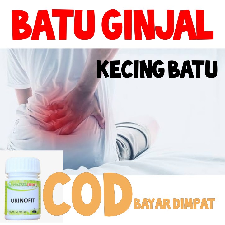 OBAT GINJAL INFEKSI GINJAL OBAT HERBAL GINJAL NOTURINDO COD
