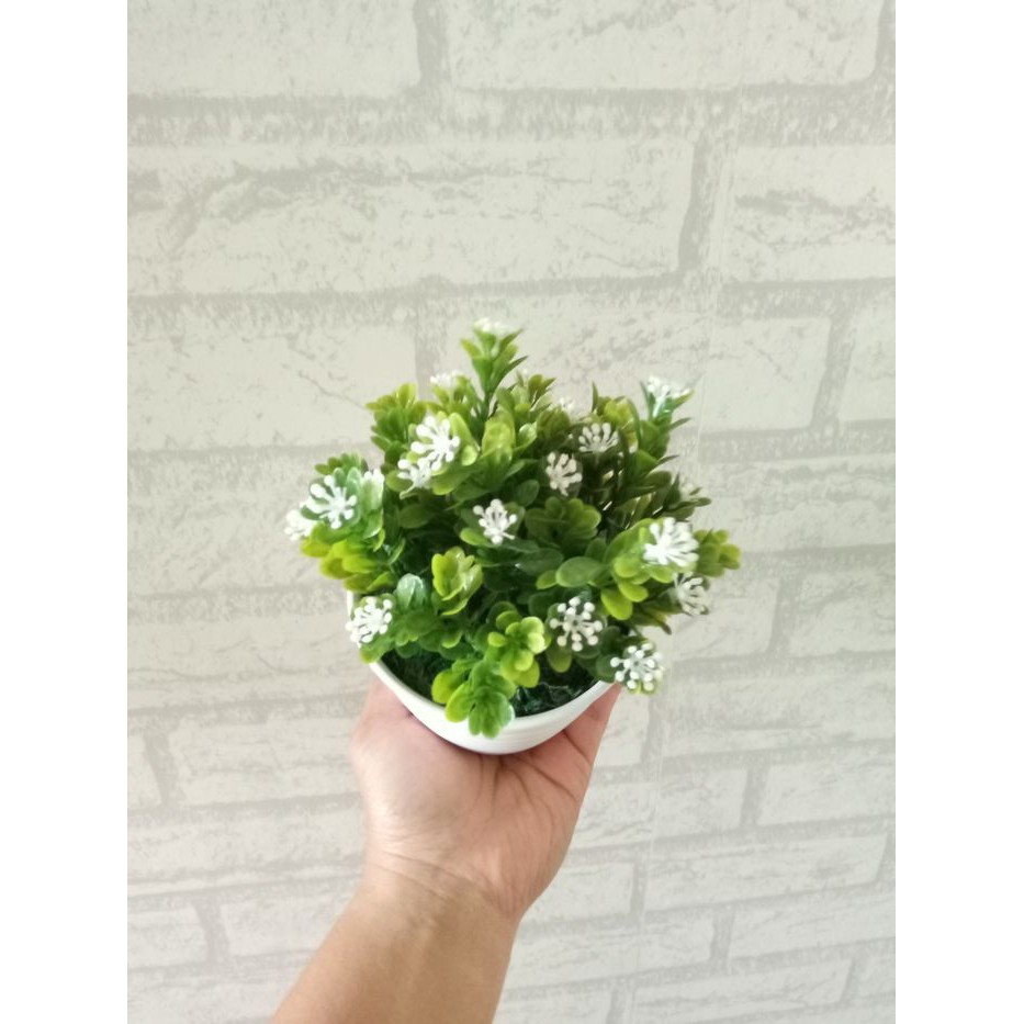 Jual Mini Soka Bunga Plastik Pot Tawon 10cm terbaik
