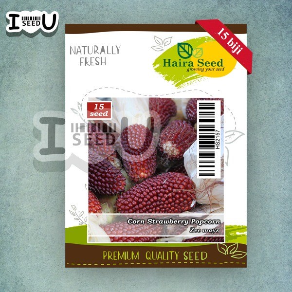 Bibit-Biji Jagung Strawberry Popcorn (Haira Seed)