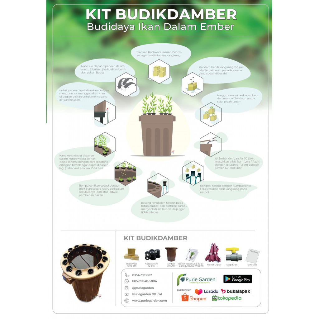 Paket Aquaponik Budidaya Ikan Dalam Ember (BUDIKDAMBER)