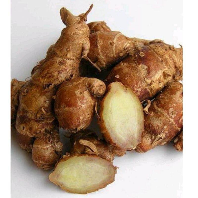 

Kencur Bumbu Dapur Berat 100grm